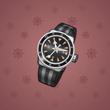 Swiss Watch #18393 Swiss Watch #18393