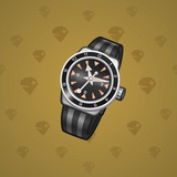 Swiss Watch #18655 Swiss Watch #18655