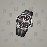 Swiss Watch #18881