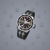 Swiss Watch #20133 Swiss Watch #20133