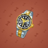 Swiss Watch #20800 Swiss Watch #20800