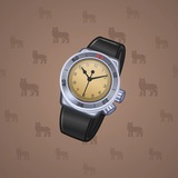Swiss Watch #20835 Swiss Watch #20835