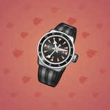 Swiss Watch #2116 Swiss Watch #2116