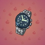 Swiss Watch #21720