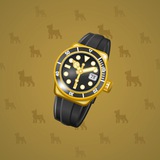 Swiss Watch #2887