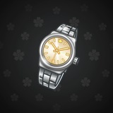 Swiss Watch #3422