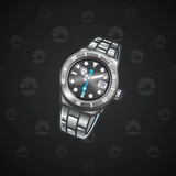 Swiss Watch #3713 Swiss Watch #3713