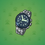 Swiss Watch #3744