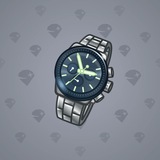 Swiss Watch #4555 Swiss Watch #4555