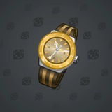 Swiss Watch #5089 Swiss Watch #5089