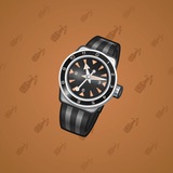 Swiss Watch #5255 Swiss Watch #5255