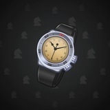 Swiss Watch #6227