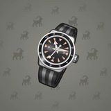 Swiss Watch #6260 Swiss Watch #6260