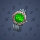 Swiss Watch #6374 Swiss Watch #6374