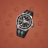 Swiss Watch #6478 Swiss Watch #6478