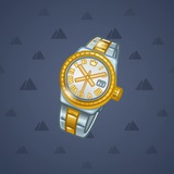 Swiss Watch #6969 Swiss Watch #6969