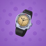 Swiss Watch #7934 Swiss Watch #7934