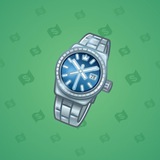 Swiss Watch #7995
