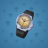 Swiss Watch #8031