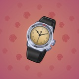 Swiss Watch #8562 Swiss Watch #8562