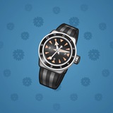 Swiss Watch #8640 Swiss Watch #8640