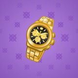 Swiss Watch #8976 Swiss Watch #8976