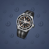 Swiss Watch #9247 Swiss Watch #9247