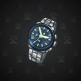 Swiss Watch #9550