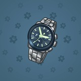 Swiss Watch #9642