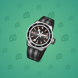 Swiss Watch #9852
