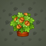 Lush Bouquet #638