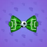 Bow Tie #6670