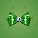 Bow Tie #6813