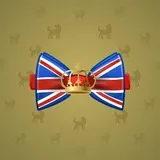 Bow Tie #6870