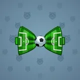 Bow Tie #6924