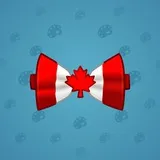 Bow Tie #6932
