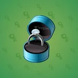 Diamond Ring #28771