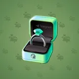 Diamond Ring #29391
