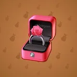 Diamond Ring #29570