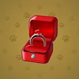 Diamond Ring #29597