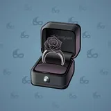 Diamond Ring #30695