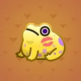 Kissed Frog #12883