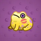 Kissed Frog #13207
