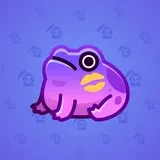 Kissed Frog #13306