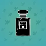 Perfume Bottle #3972