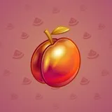 Precious Peach #1003