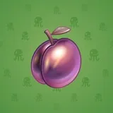 Precious Peach #1018