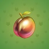 Precious Peach #1025