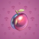 Precious Peach #1250