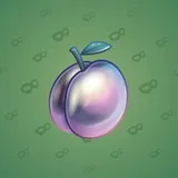 Precious Peach #1452